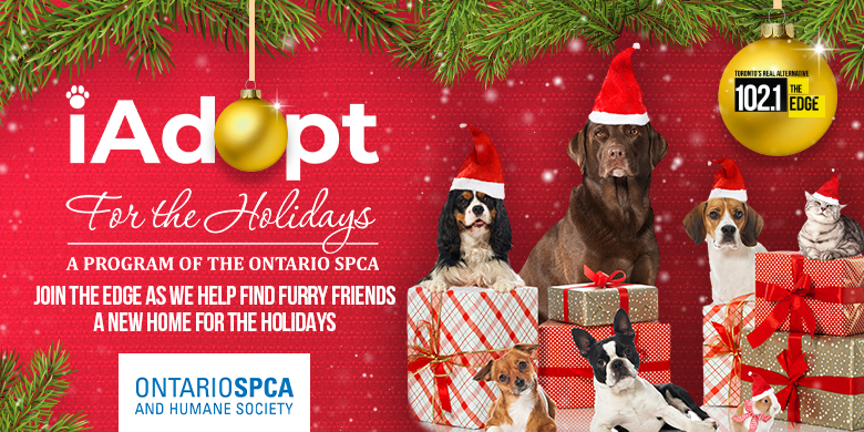 I Adopt For The Holidays OSPCA Toronto